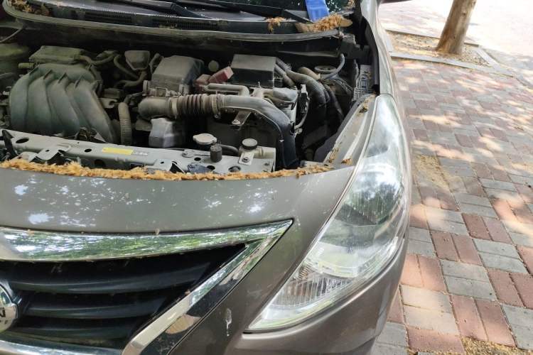 Used Nissan Sunny 2015 1.5XE Manual Elite Edition Engine Bay Left