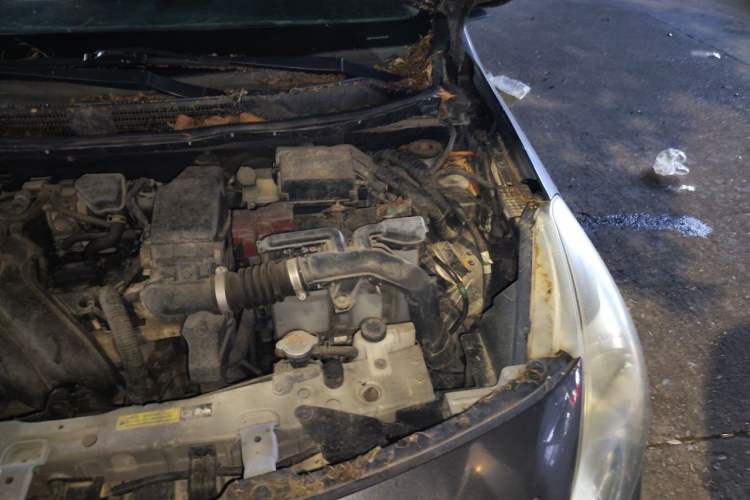 Used Nissan Sunny 2015 1.5XE Manual Comfort Edition Engine Bay Left