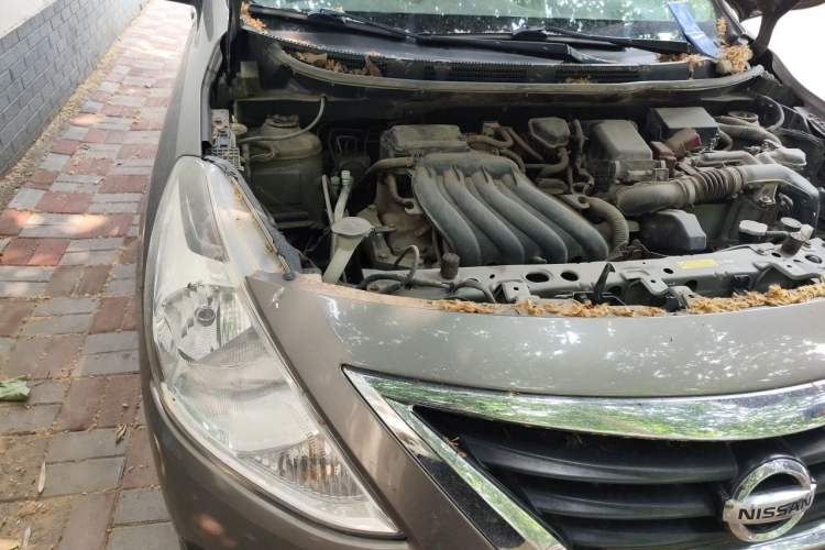 Used Nissan Sunny 2015 1.5XE Manual Elite Edition Engine Bay Right