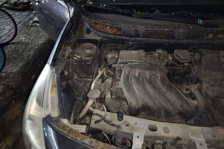 Used Nissan Sunny 2015 1.5XE Manual Comfort Edition Engine Bay Right
