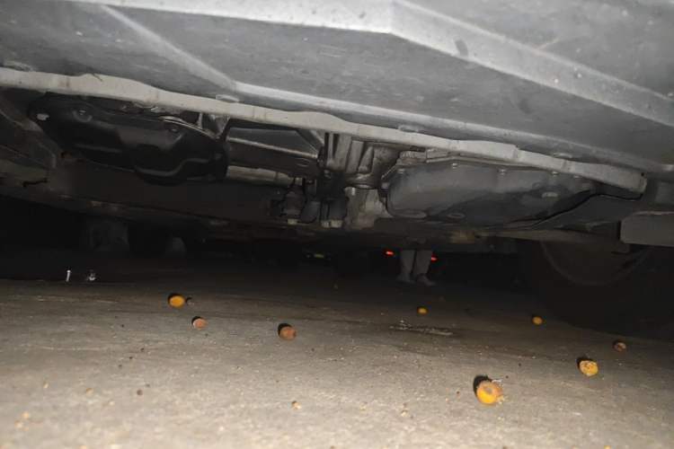 Used Nissan Sunny 2015 1.5XE CVT Comfort Edition Chassis Front
