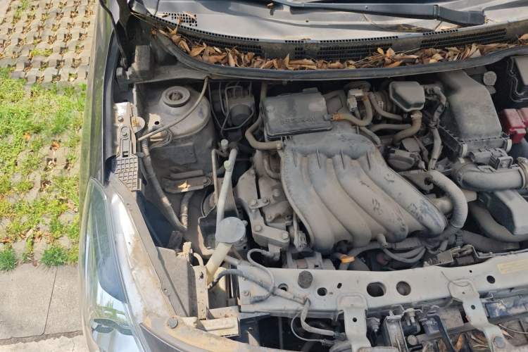 Used Nissan Sunny 2015 1.5XE Manual Comfort Edition Engine Bay Right