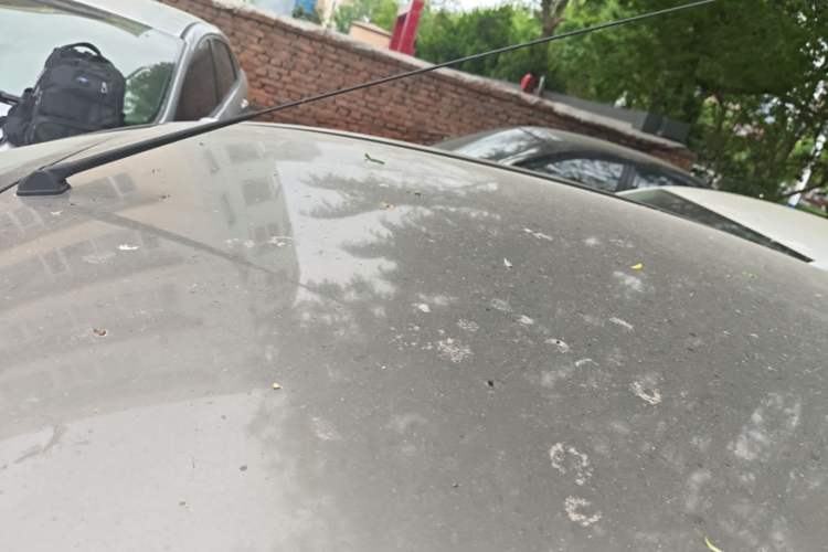 Used Nissan Sunny 2015 1.5XE CVT Comfort Edition Roof