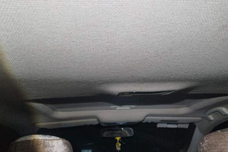 Used Nissan Sylphy 2008 1.6XL Luxury Edition Headliner