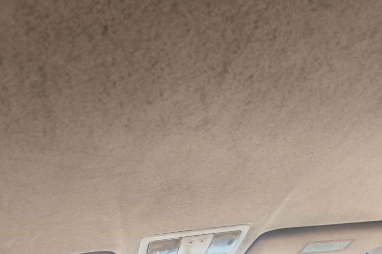Used Nissan Sylphy 2009 2.0XL CVT Luxury Edition Headliner