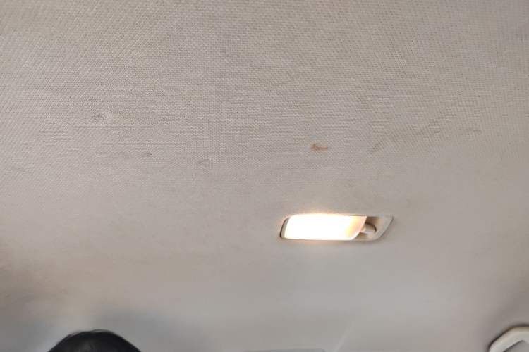 Used Nissan Sylphy 2009 2.0XL CVT Luxury Edition Headliner
