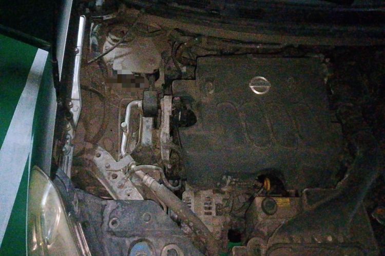 Used Nissan Sylphy 2009 2.0XL CVT Tech Edition Engine Bay Right