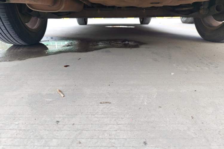 Used Nissan Sylphy 2009 1.6XE Automatic Comfort Edition Chassis Rear