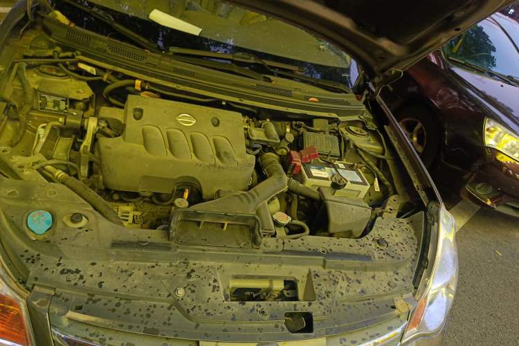 Used Nissan Sylphy 2009 2.0XL CVT Luxury Sunroof Edition Engine Bay Left