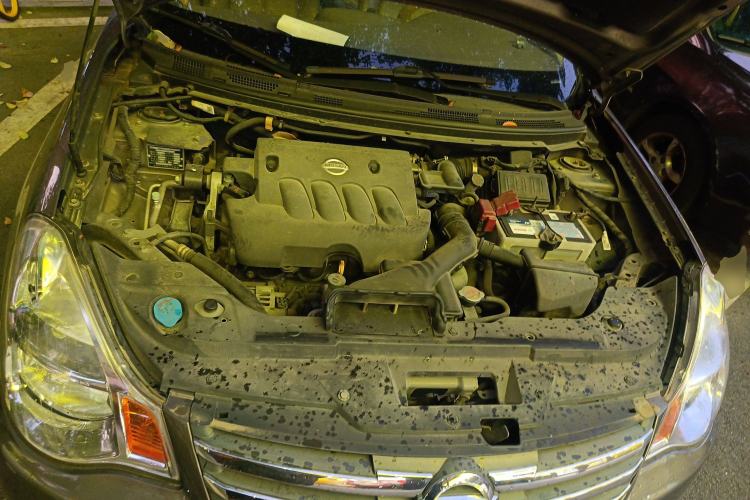 Used Nissan Sylphy 2009 2.0XL CVT Luxury Sunroof Edition Engine Bay