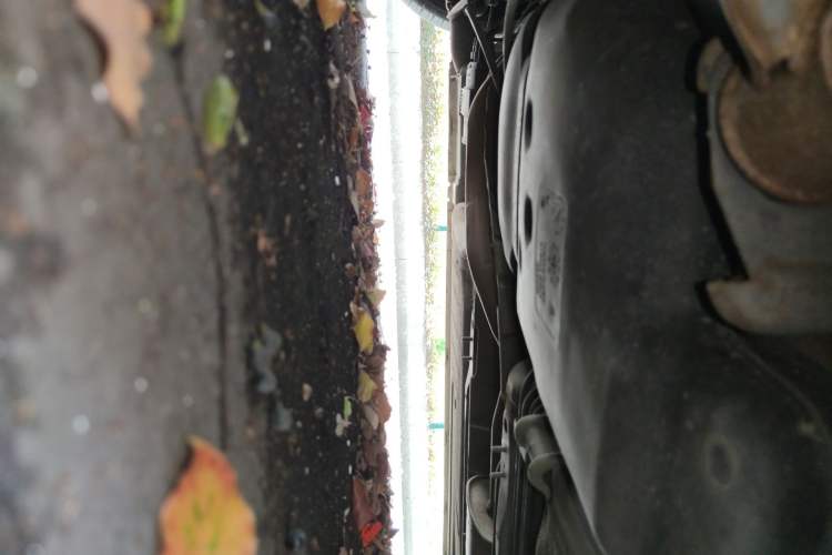 Used Nissan Sylphy 2009 1.6XL Automatic Luxury Sunroof Edition Chassis Front
