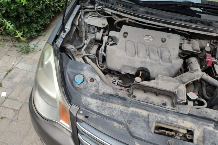 Used Nissan Sylphy 2009 2.0XL CVT Luxury Edition Engine Bay Right