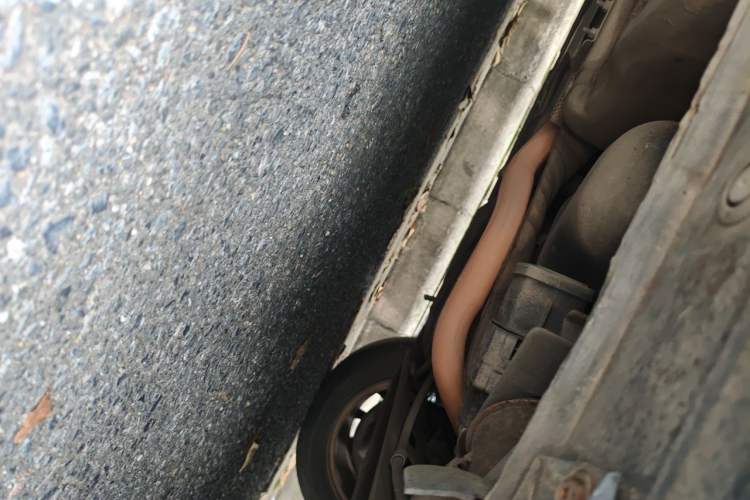 Used Nissan Sylphy 2012 1.6 XL CVT Luxury Edition Chassis Rear Left
