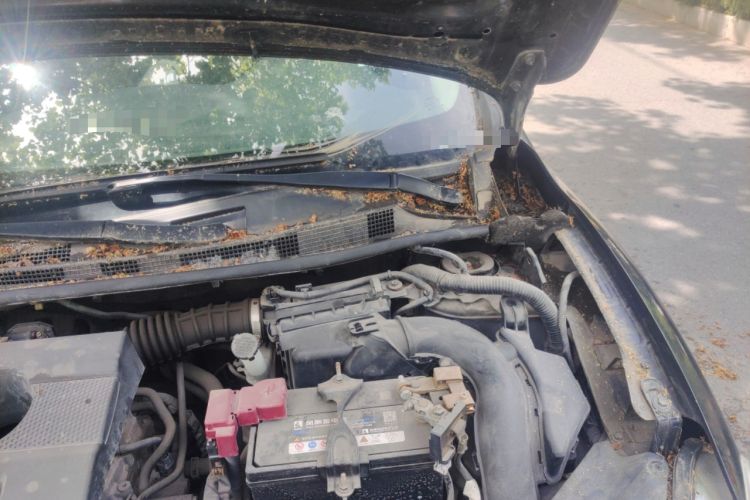 Used Nissan Sylphy 2012 1.6 XL Manual Luxury Edition Engine Bay Left