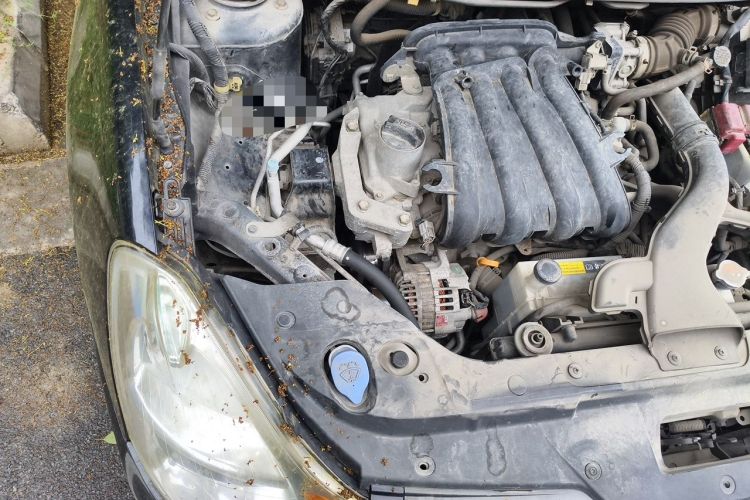 Used Nissan Sylphy 2012 Classic 1.6XE Manual Comfort Edition Engine Bay Right