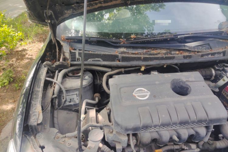 Used Nissan Sylphy 2012 1.6 XL Manual Luxury Edition Engine Bay Right