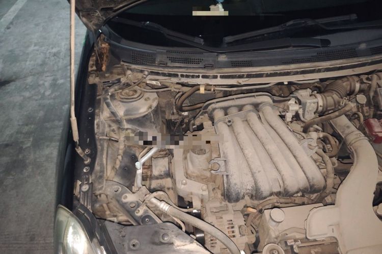 Used Nissan Sylphy 2012 Classic 1.6XE Manual Comfort Edition Engine Bay Right