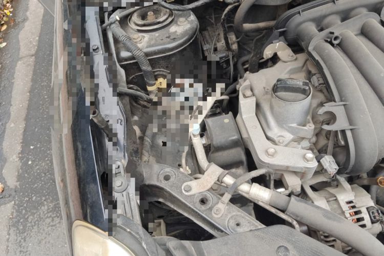 Used Nissan Sylphy 2012 Classic 1.6XE Manual Comfort Edition Engine Bay Right