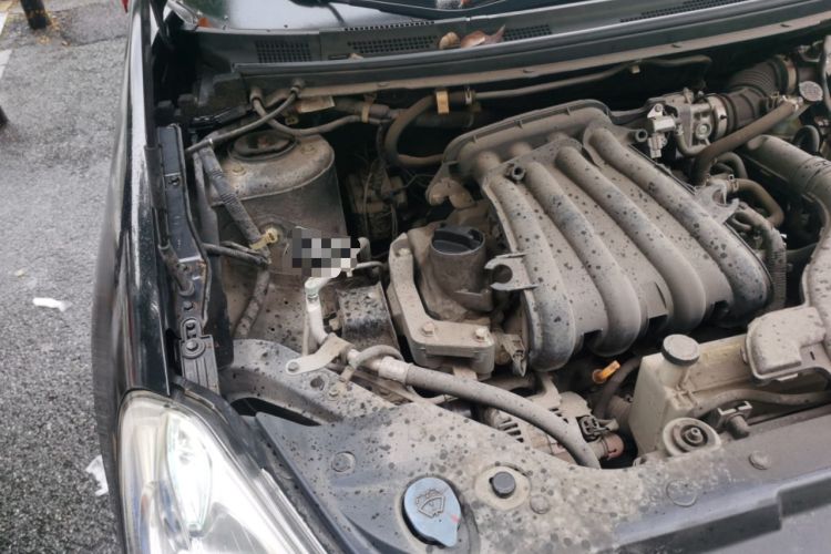 Used Nissan Sylphy 2012 Classic 1.6XE Manual Comfort Edition Engine Bay Right