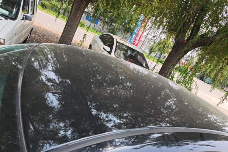 Used Nissan Sylphy 2012 Classic 1.6XE Manual Comfort Edition Roof