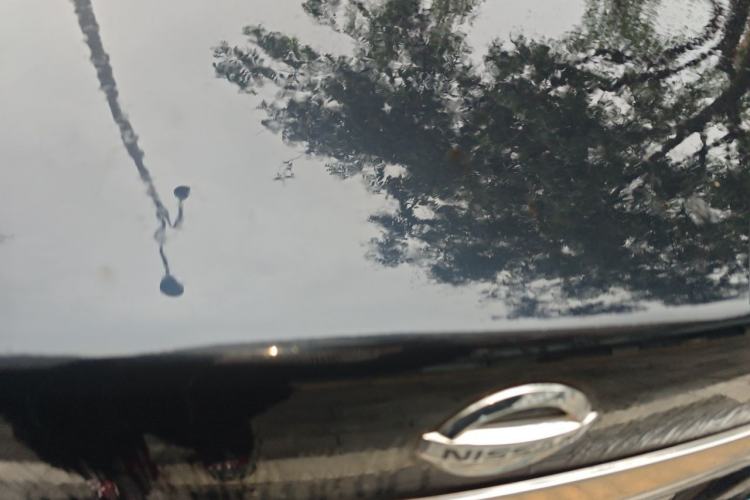 Used Nissan Sylphy 2012 1.6 XL CVT Luxury Edition Trunk