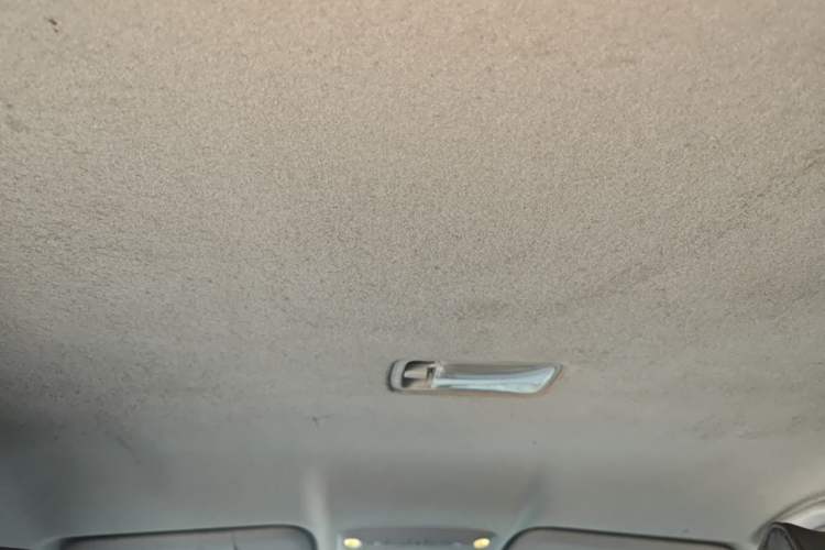 Used Nissan Sylphy  Headliner