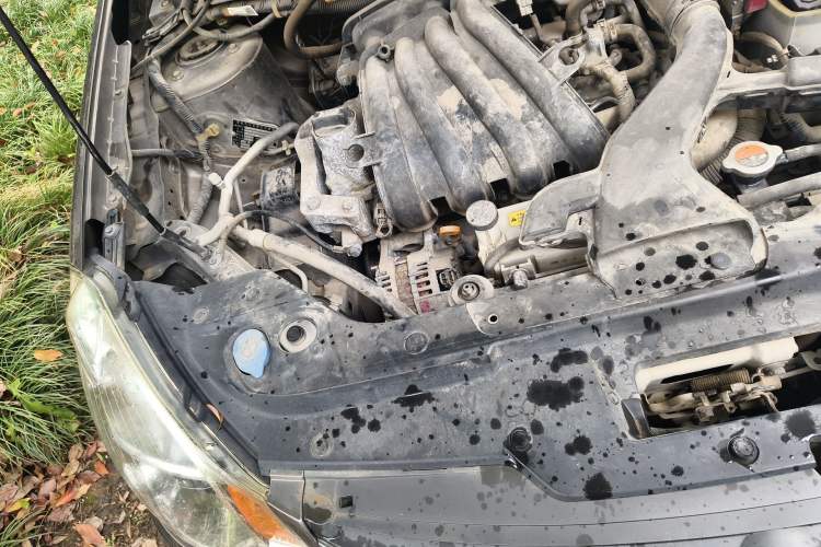 Used Nissan Sylphy 2012 Classic 1.6XE Manual Comfort Edition Engine Bay Right