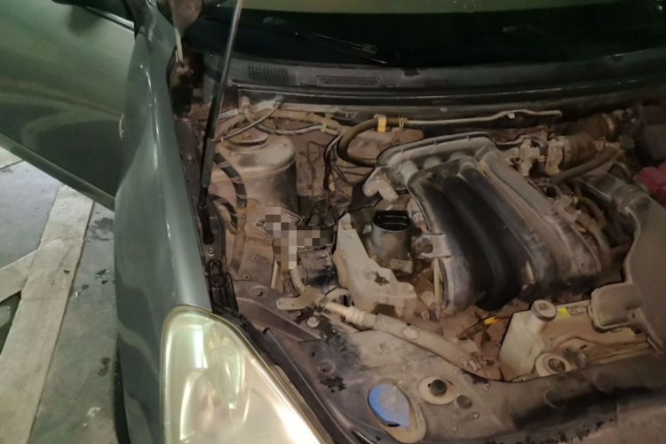 Used Nissan Sylphy 2012 Classic 1.6XE Manual Comfort Edition Engine Bay Right