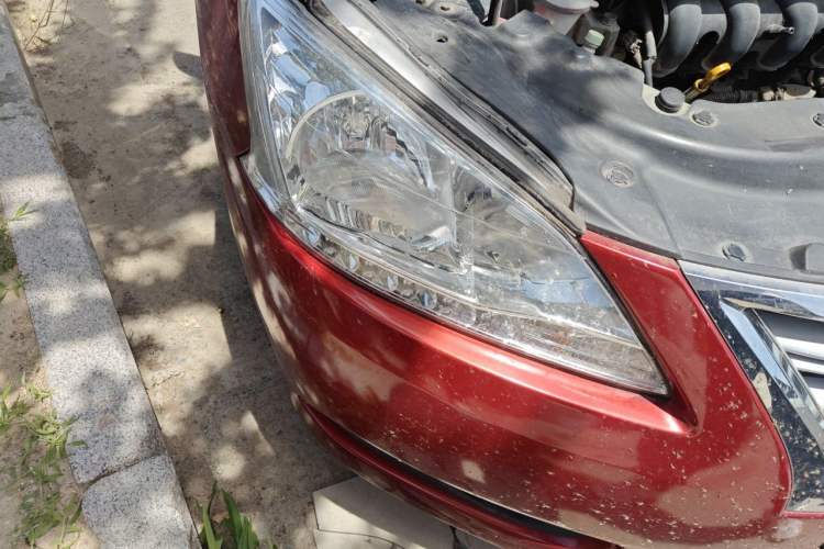 Used Nissan Sylphy 2012 1.6 XL CVT Luxury Edition Right Front Headlight