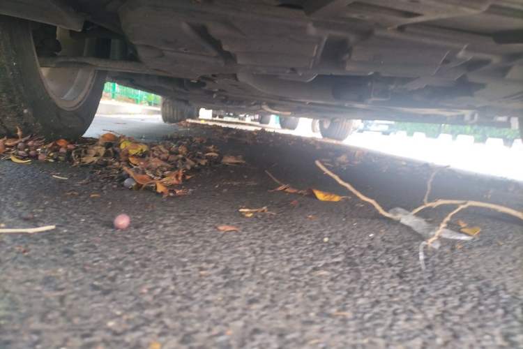 Used Nissan Sylphy 2012 Classic 1.6XE Automatic Comfort Edition Chassis Front