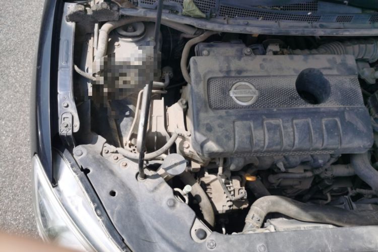 Used Nissan Sylphy 2014 1.6XV CVT Deluxe Edition Engine Bay Right