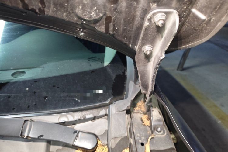 Used Nissan Sylphy 2014 1.6XV CVT Deluxe Edition Engine Bay Left