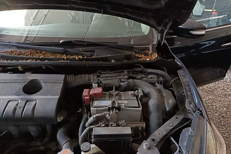 Used Nissan Sylphy 2016 1.6 XL CVT Luxury Edition Engine Bay Left