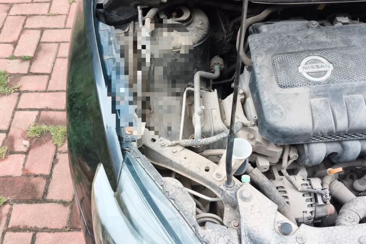 Used Nissan Sylphy 2016 1.6 XL CVT Deluxe Edition Engine Bay Right