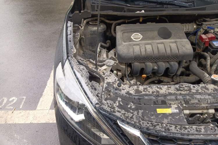 Used Nissan Sylphy 2016 1.6 XL CVT Luxury Edition Engine Bay Right