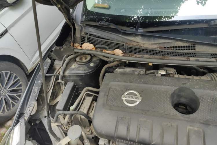 Used Nissan Sylphy 2016 1.6 XL CVT Deluxe Edition Engine Bay Right