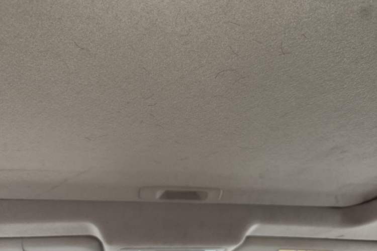 Used Nissan Sylphy 2016 Classic 1.6XE Manual Leading Edition Headliner