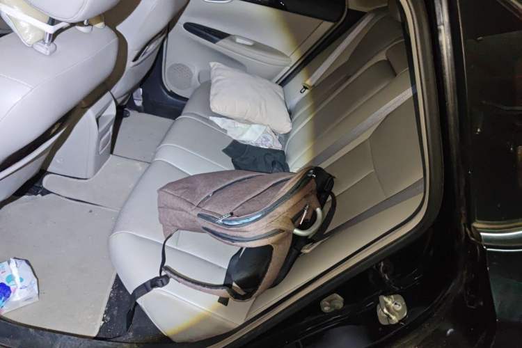 Used Nissan Sylphy 2016 1.6 XL CVT Deluxe Edition Left Rear Seat