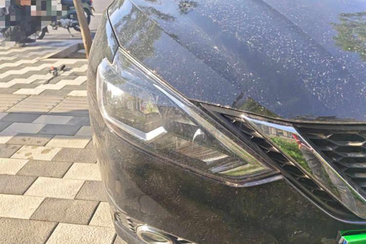 Used Nissan Sylphy 2016 1.8XL CVT Luxury Edition Right Front Headlight