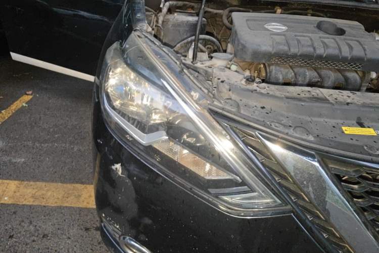 Used Nissan Sylphy 2016 1.6 XL Manual Luxury Edition Right Front Headlight
