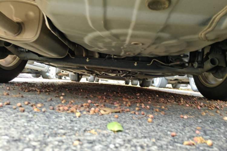 Used Nissan Sylphy 2016 1.6 XL CVT Luxury Edition Chassis Rear
