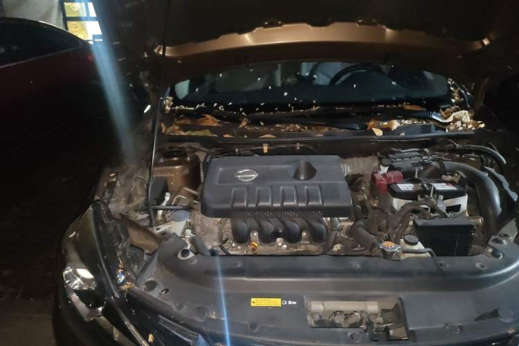 Used Nissan Sylphy 2016 1.6 XL CVT Deluxe Edition Engine Bay Right