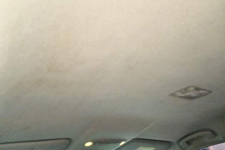 Used Nissan Sylphy 2016 1.6XE CVT Comfort Edition Headliner