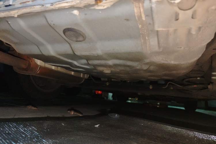 Used Nissan Sylphy 2016 1.6 XL CVT Luxury Edition Chassis Rear