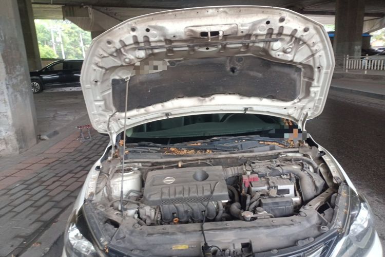 Used Nissan Sylphy 2016 1.6 XL CVT Deluxe Edition Engine Bay