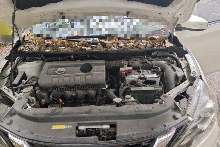 Used Nissan Sylphy 2016 1.6 XL CVT Deluxe Edition Engine Bay
