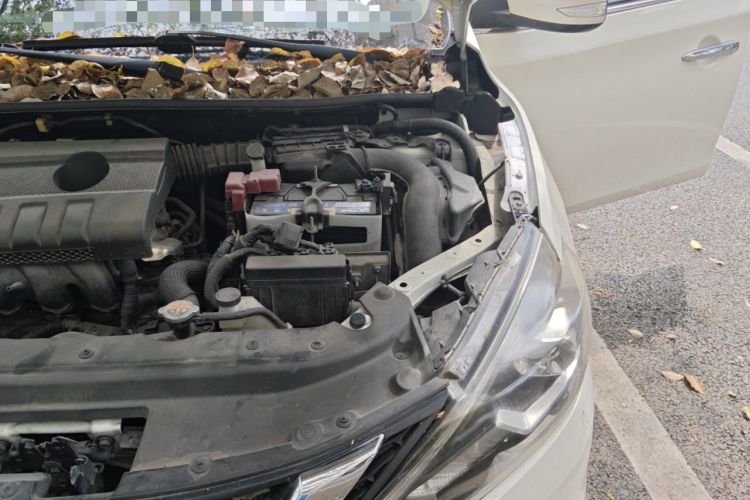 Used Nissan Sylphy 2016 1.6 XL CVT Deluxe Edition Engine Bay Left
