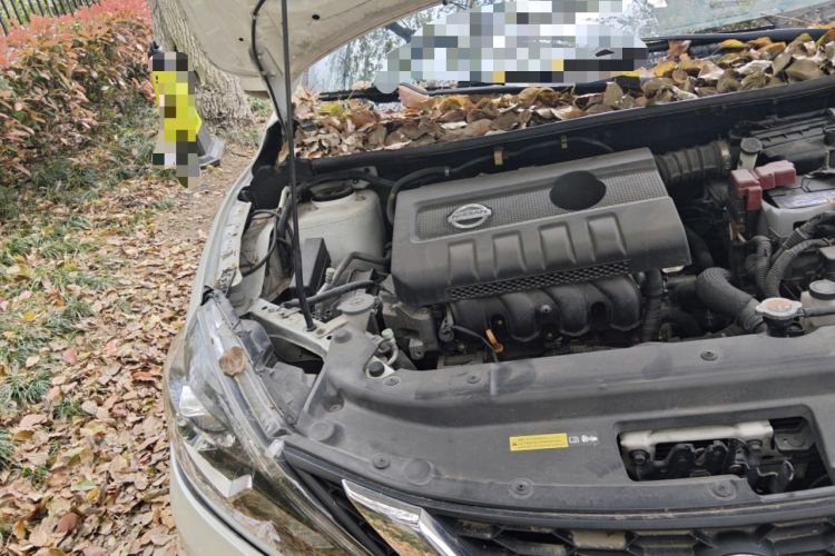 Used Nissan Sylphy 2016 1.6 XL CVT Deluxe Edition Engine Bay Right