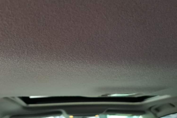 Used Nissan Sylphy 2016 1.6 XL CVT Deluxe Edition Headliner