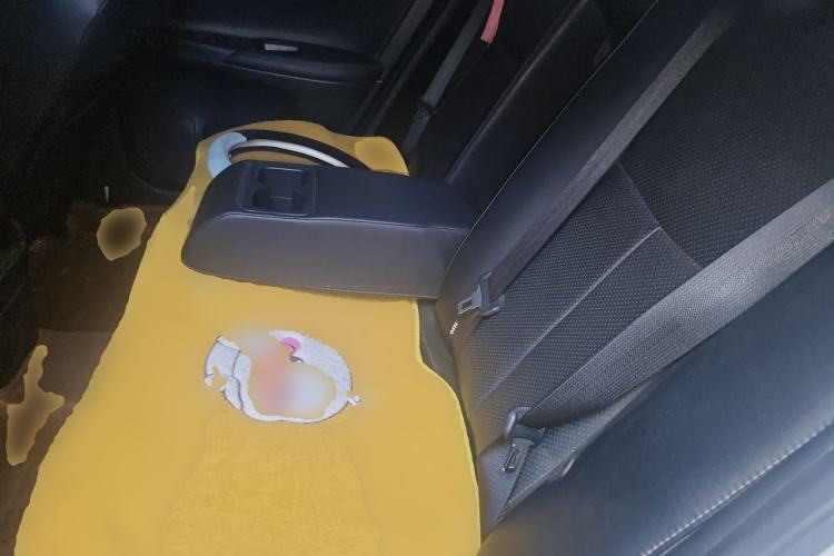 Used Nissan Sylphy 2016 1.6 XL CVT Luxury Edition Left Rear Seat